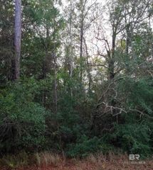 290?? US Highway 98, Elberta, AL 36530