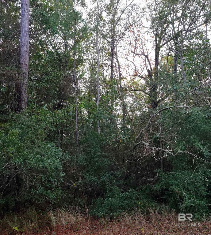 290?? US Highway 98, Elberta, AL 36530