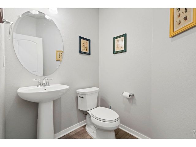 5287 Honeycomb Ave, Timnath, CO 80547