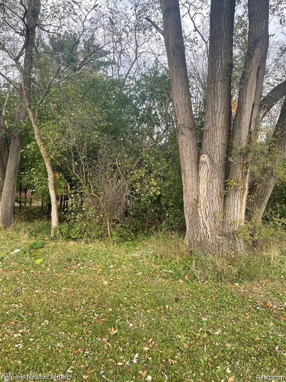 0000 Reed Lake Road, Commerce Twp, MI 48382