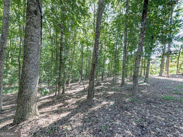 5855 Wills Lake Road, Cumming, GA 30040