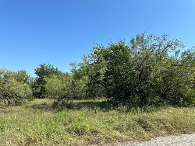 TBD High Bluff Drive, Bridgeport, TX 76426