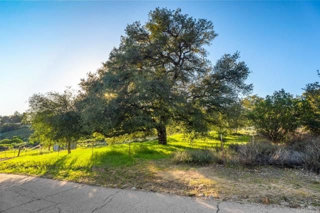 24210 Fremontia Lane, Descanso, CA 91916