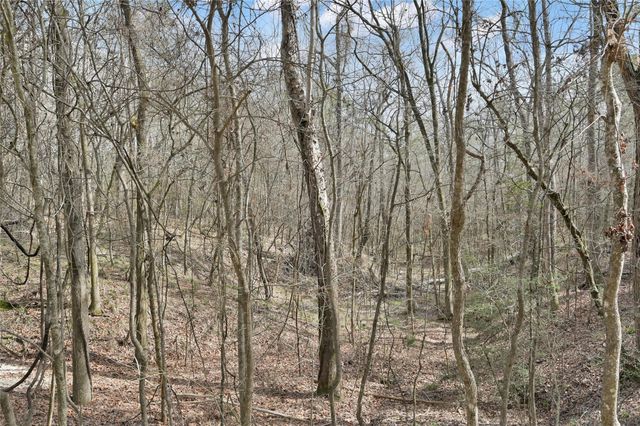 TBD Hwy 190 Highway, Point Blank, TX 77364