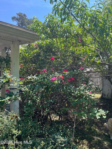 502 S Pine Cone Lane, Jacksonville, NC 28546