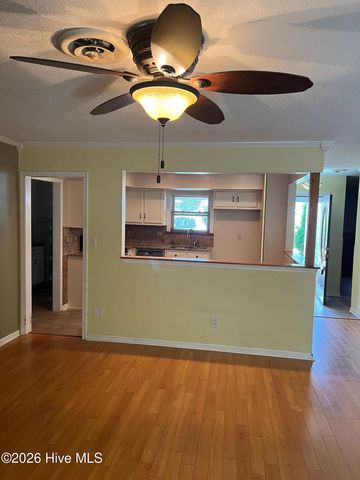 502 S Pine Cone Lane, Jacksonville, NC 28546