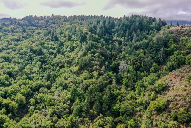 15910 Wildcat Ridge, Saratoga, CA 95070