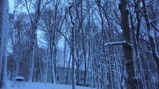6310 Stag Horn Lane, Chanhassen, MN 55317