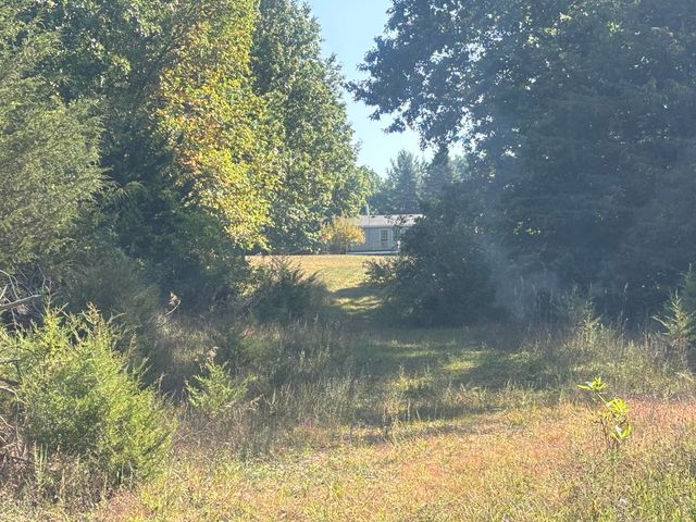 1170 Somers Road, Lyons, MI 48851