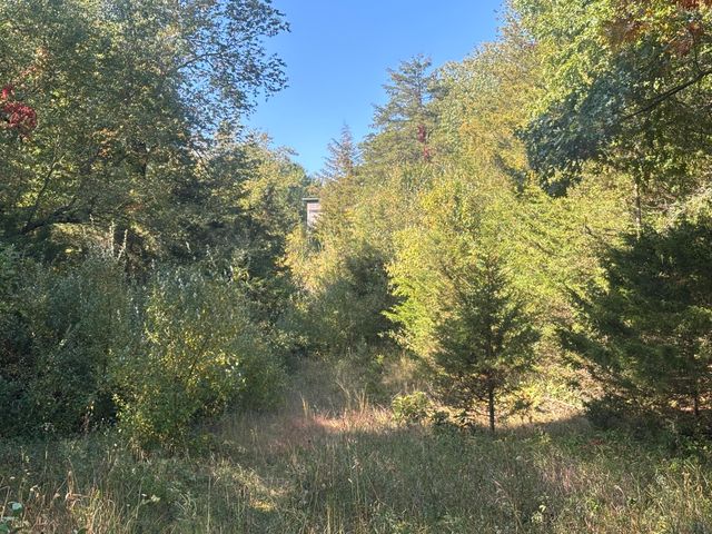 1170 Somers Road, Lyons, MI 48851