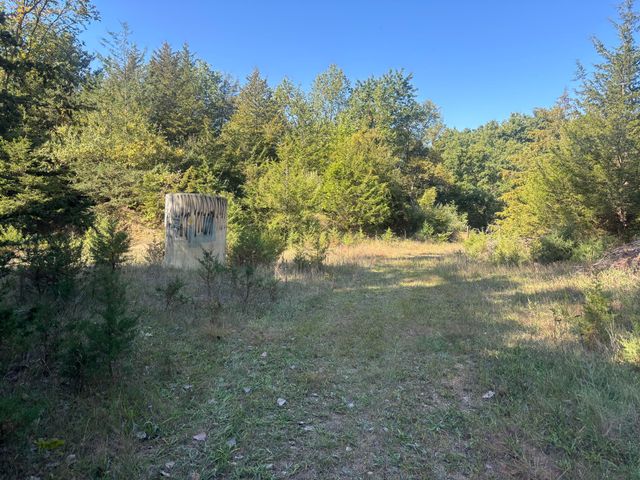 1170 Somers Road, Lyons, MI 48851