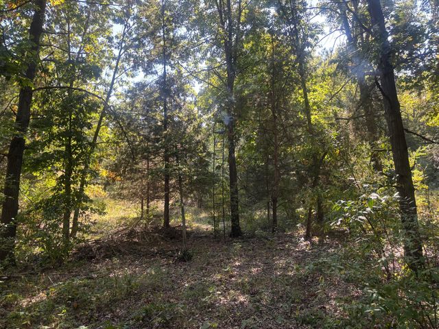 1170 Somers Road, Lyons, MI 48851