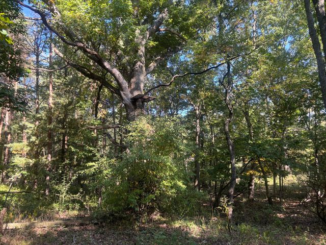1170 Somers Road, Lyons, MI 48851