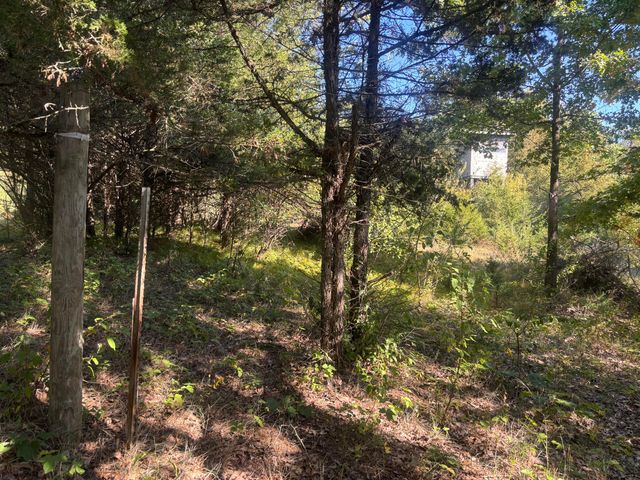 1170 Somers Road, Lyons, MI 48851