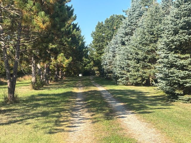 1170 Somers Road, Lyons, MI 48851