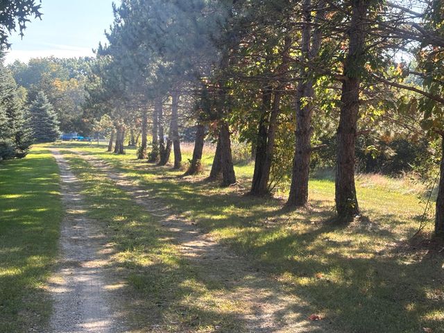 1170 Somers Road, Lyons, MI 48851
