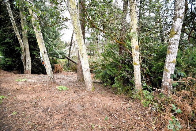 0 SE Cleveland Avenue, Port Orchard, WA 98366
