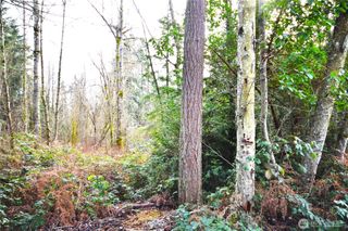 0 SE Cleveland Avenue, Port Orchard, WA 98366