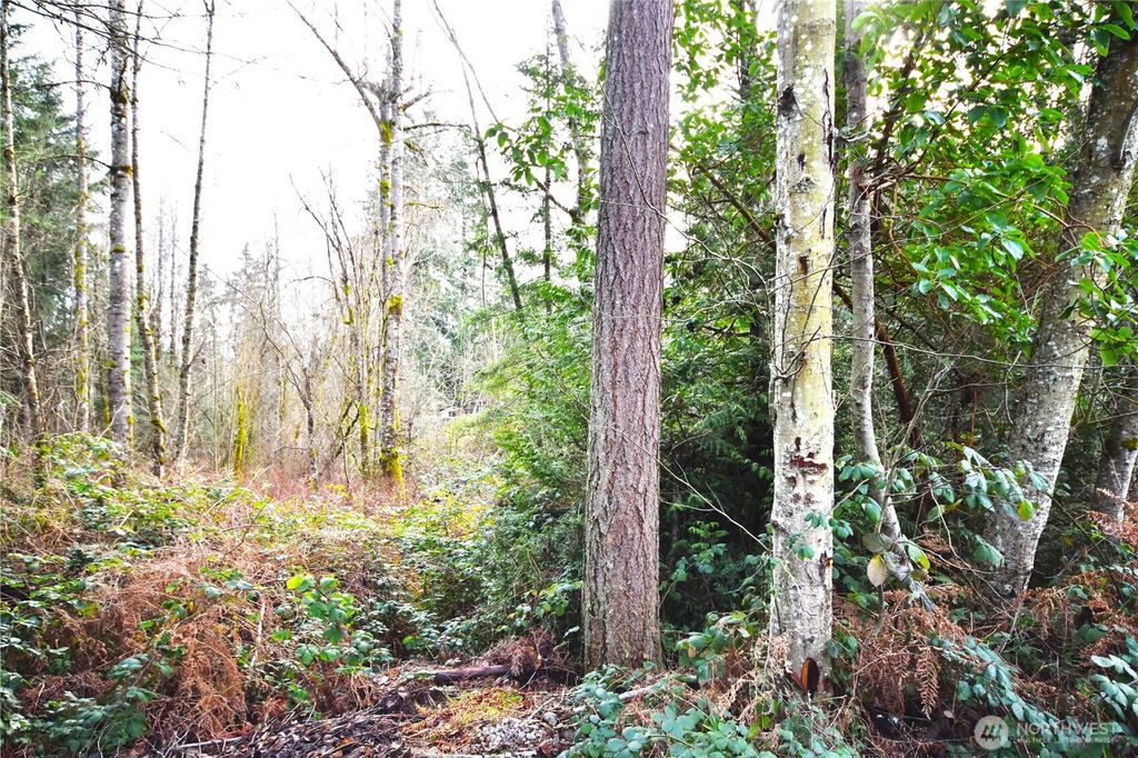 0 SE Cleveland Avenue, Port Orchard, WA 98366