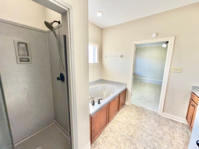 10373 LOBLOLLY VIEW LN, Lakeland, TN 38002