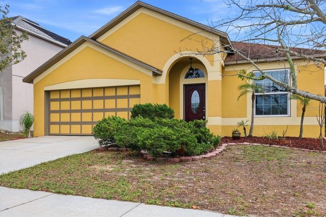 919 GRAND CANYON DRIVE, Valrico, FL 33594