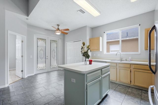 919 GRAND CANYON DRIVE, Valrico, FL 33594