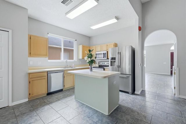 919 GRAND CANYON DRIVE, Valrico, FL 33594