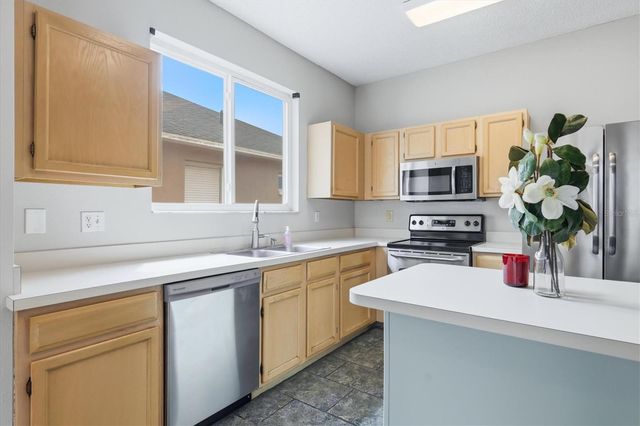 919 GRAND CANYON DRIVE, Valrico, FL 33594