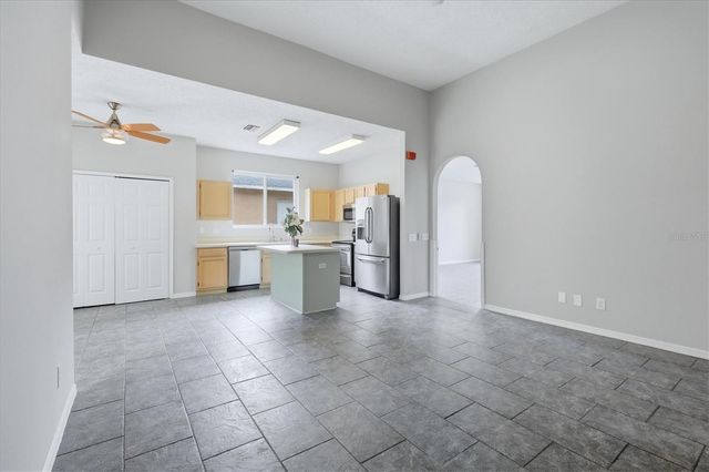 919 GRAND CANYON DRIVE, Valrico, FL 33594