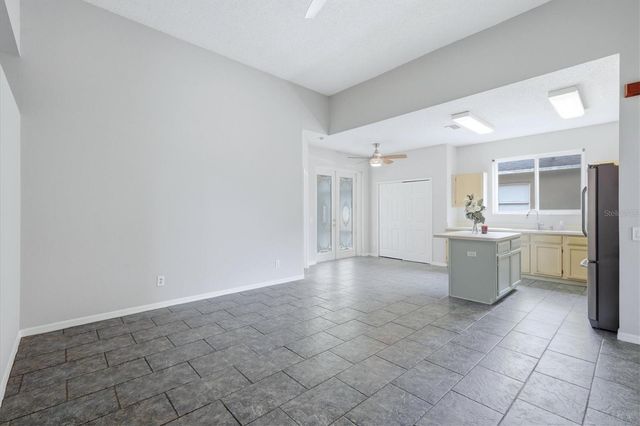 919 GRAND CANYON DRIVE, Valrico, FL 33594