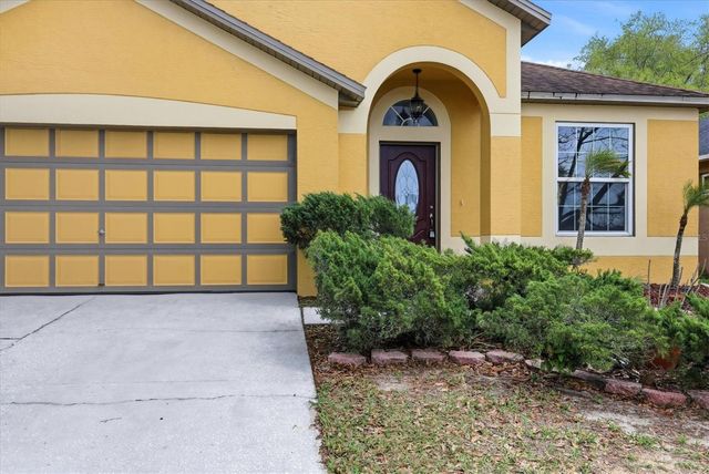 919 GRAND CANYON DRIVE, Valrico, FL 33594