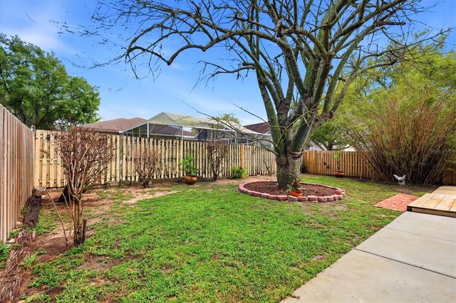 919 GRAND CANYON DRIVE, Valrico, FL 33594