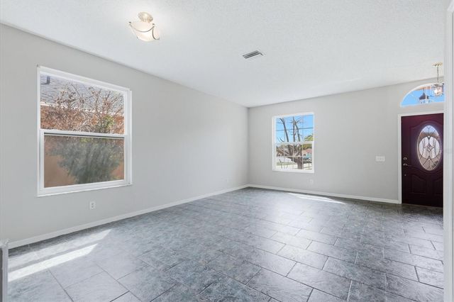 919 GRAND CANYON DRIVE, Valrico, FL 33594