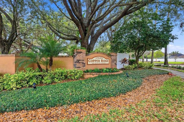 919 GRAND CANYON DRIVE, Valrico, FL 33594