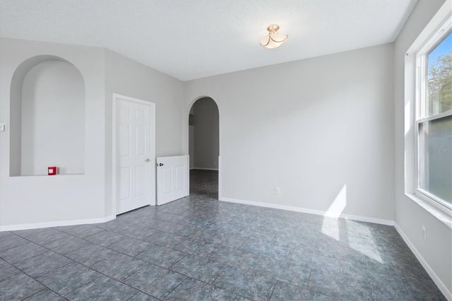 919 GRAND CANYON DRIVE, Valrico, FL 33594