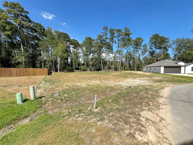 818 Scribe St, New Caney, TX 77357