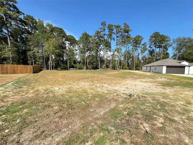 818 Scribe St, New Caney, TX 77357
