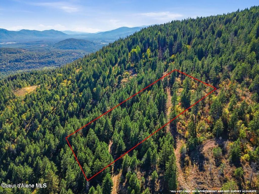 NKA LT 2 Juniper Ln., Naples, ID 83847 photo 3