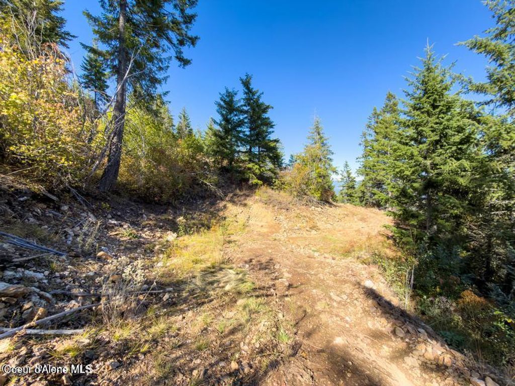 NKA LT 2 Juniper Ln., Naples, ID 83847 photo 5