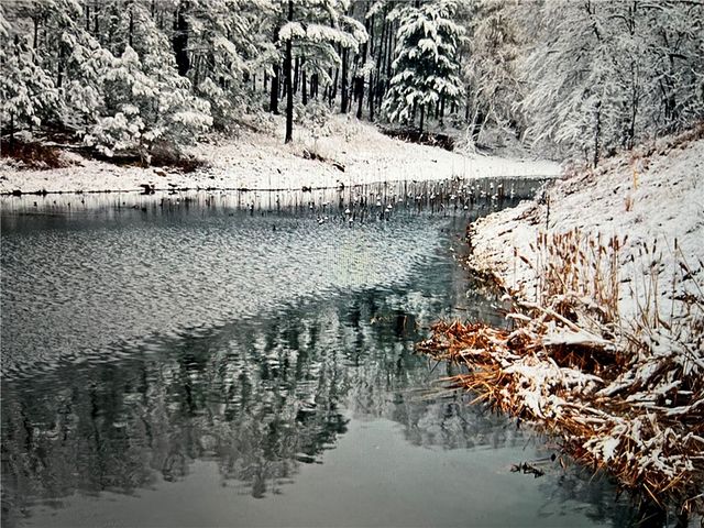 Lot 16 of Block 7 Sunkist Lane, Holiday Island, AR 72631