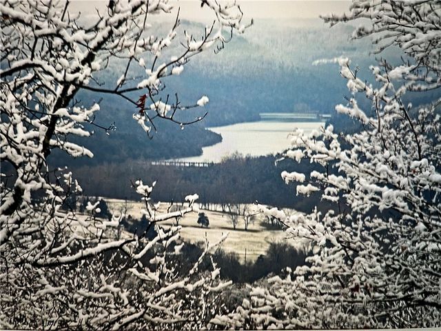 Lot 16 of Block 7 Sunkist Lane, Holiday Island, AR 72631