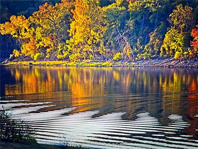 Lot 16 of Block 7 Sunkist Lane, Holiday Island, AR 72631