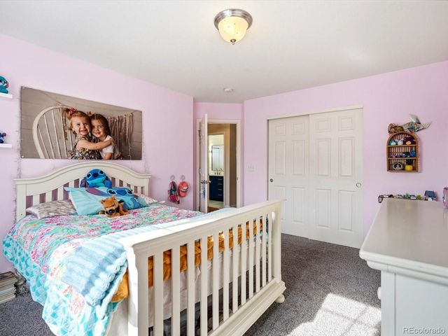 2518 Azalea Way, Erie, CO 80516