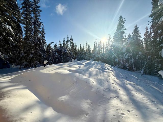 2341 B-LINE COURT, Fairbanks, AK 99709