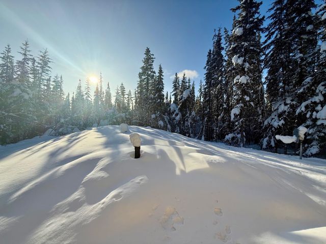 2341 B-LINE COURT, Fairbanks, AK 99709