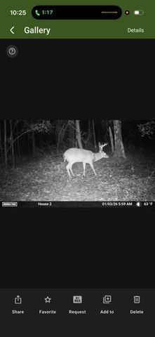 6840 Hayes Road, Chunchula, AL 36521