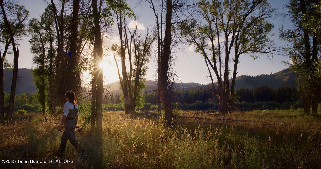 14165 DRAKE DRIVE, Jackson, WY 83001 photo 30