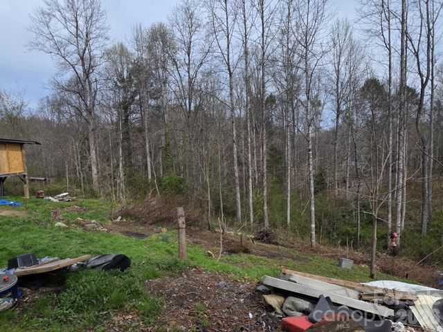 41 Jack Rabbit Drive, Marion, NC 28752