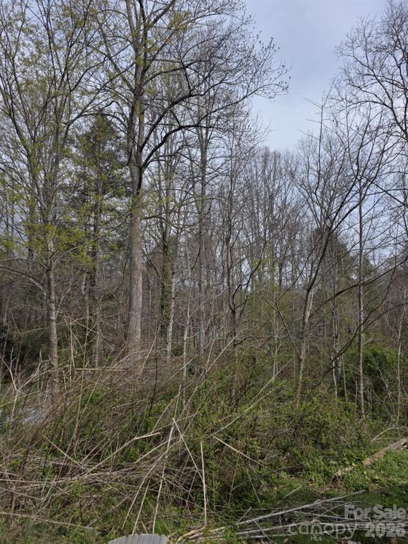 41 Jack Rabbit Drive, Marion, NC 28752