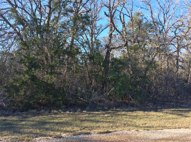 320 Alvina Ulich Street, Somerville, TX 77879